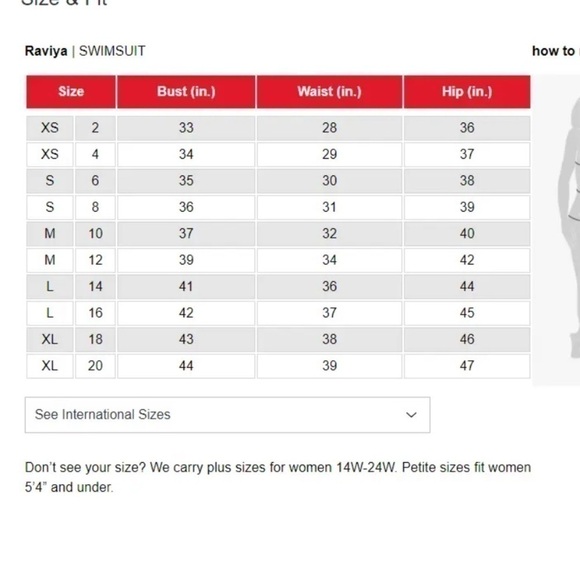 Bleu Rod Beattie Walk On The Wild Side High Waist Bikini Bottom Brown, B… - Picture 12 of 12